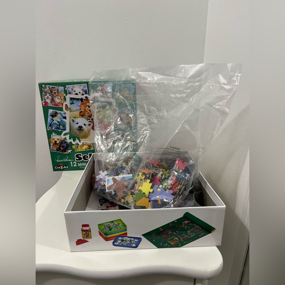 Set Disney Family Feud and Selfies Puzzle Set - Blue and Green - Picture 6 of 7